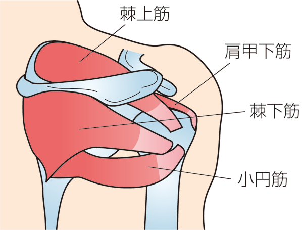 五十肩の治療目標